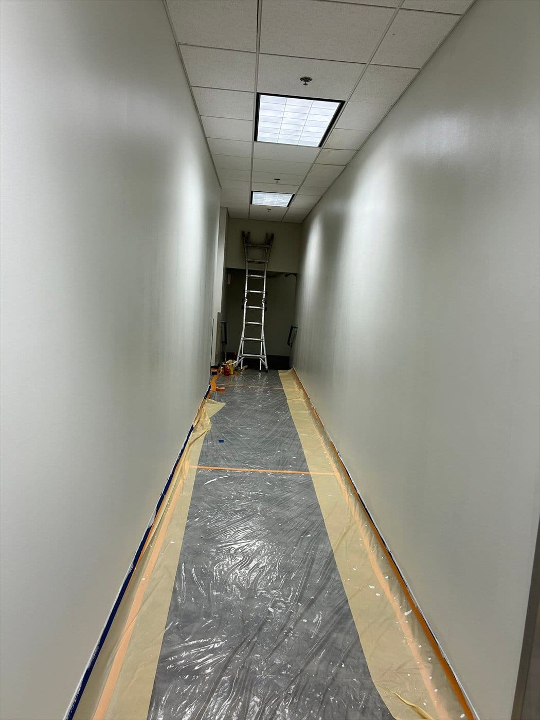 Freshly painted corridor with white walls and floor protection still in place.