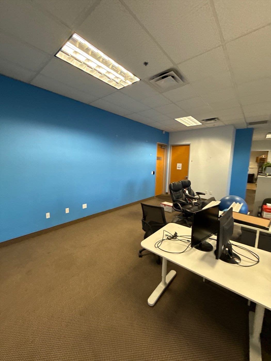 Office with a freshly painted blue accent wall and workstations.