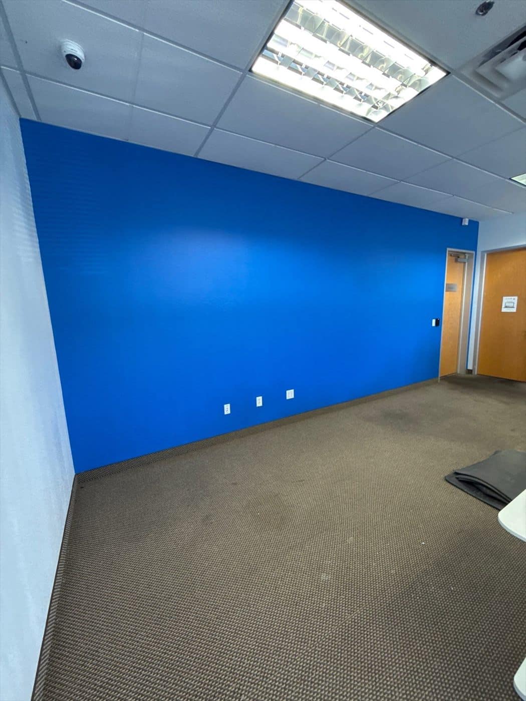 Completed bright blue accent wall in a carpeted office space.